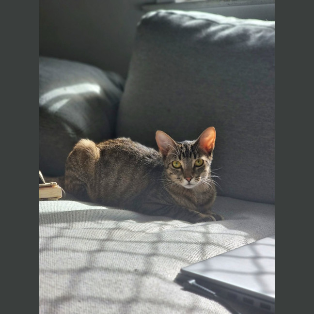 Photo of Nora