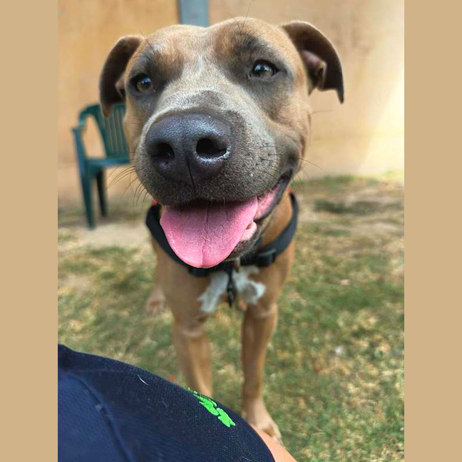 Photo of Turbo