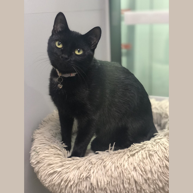 Photo of Betty