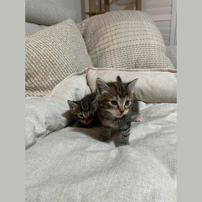 Photo of Mia