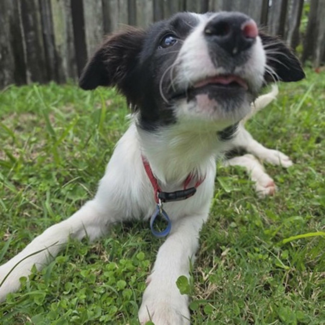 Photo of Annie 