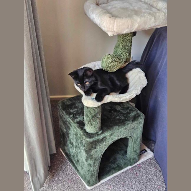 Photo of Harley & Batman 