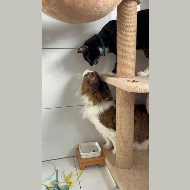 Photo of 🥰 Patricia 🥰