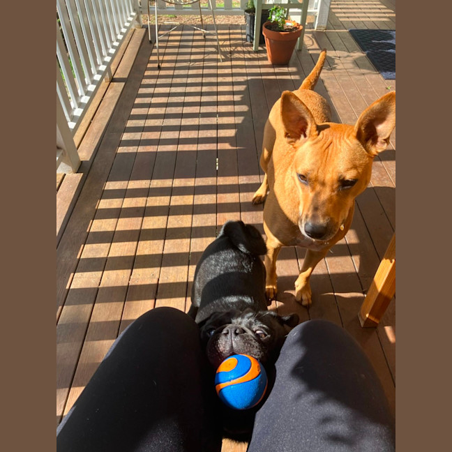 Photo of Milton 💗