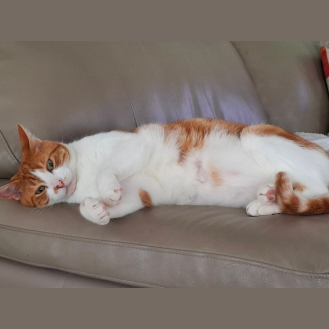 Photo of Hamish
