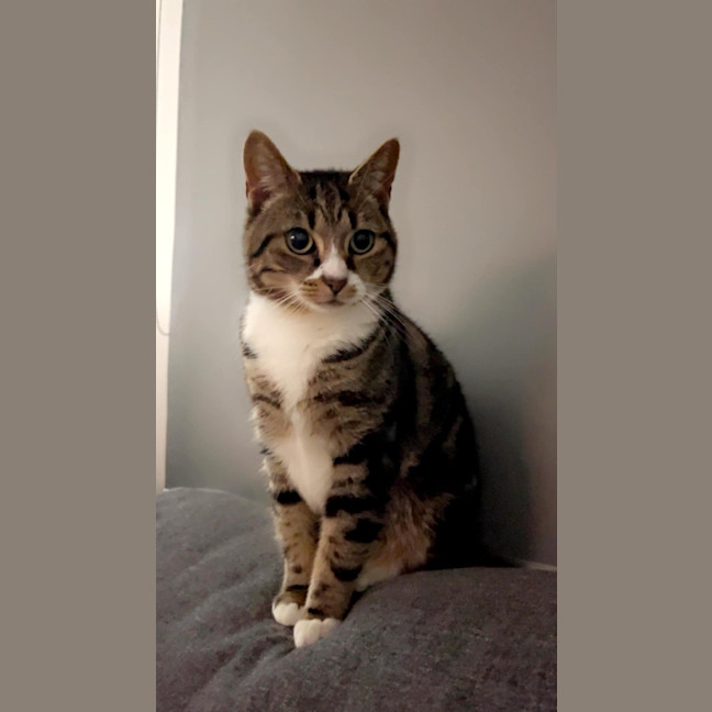 Photo of Maisie And Luna 