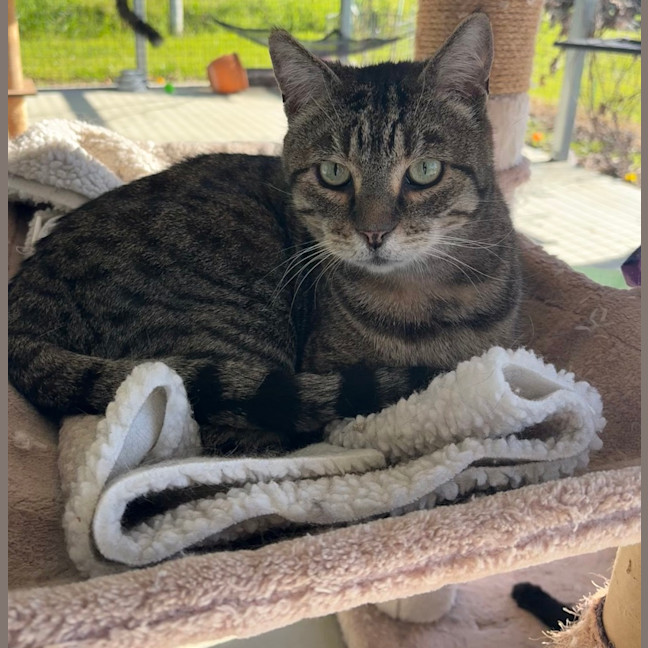 Photo of Jasper