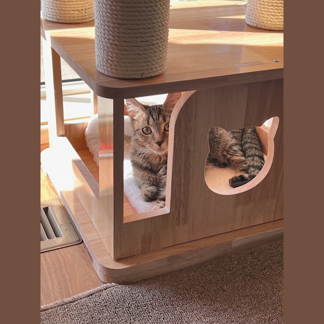 Photo of Nadia & Mishka 