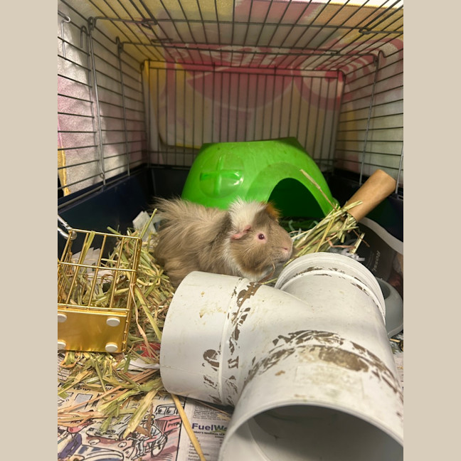 Photo of Eddy