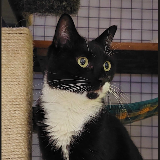 Photo of Annie