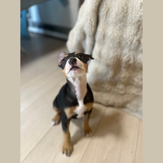 Photo of Soul Sister