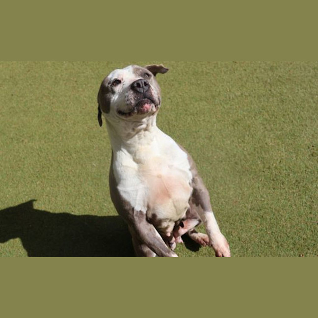 Photo of Lexi