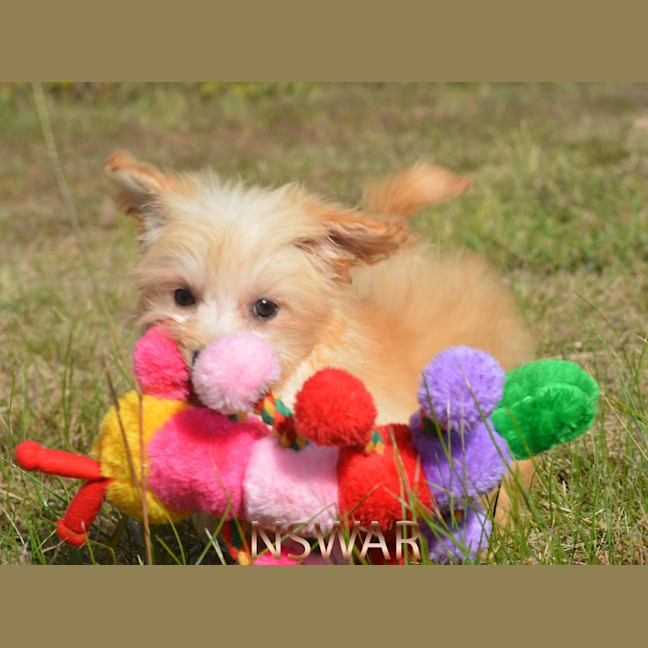 Photo of Matilda  *Relisted*