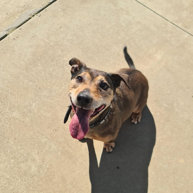 Photo of Roxy