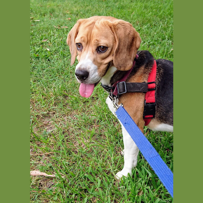 Photo of Chloe