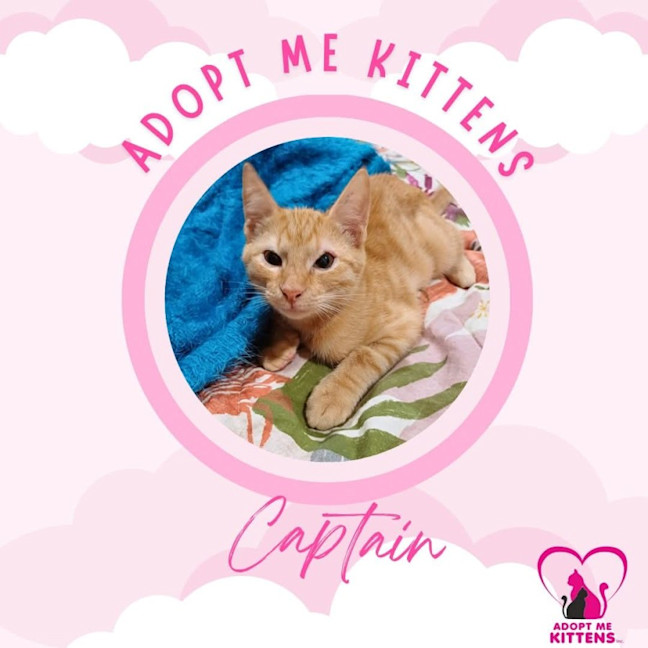 Photo of Captain