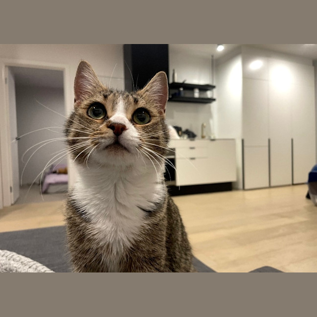 Photo of Kaiya
