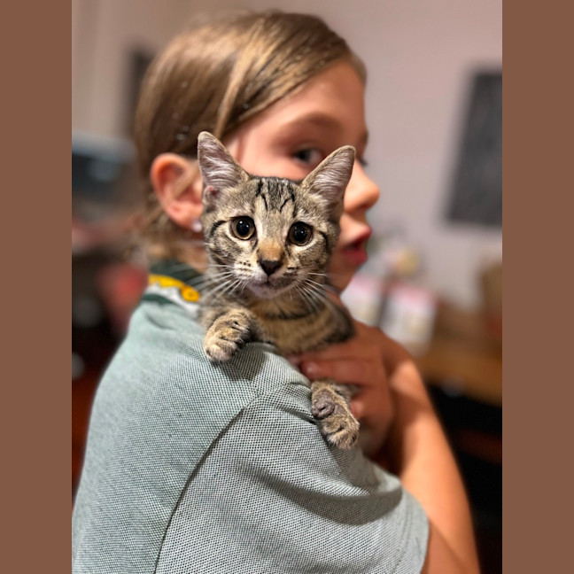 Photo of Licketty Split