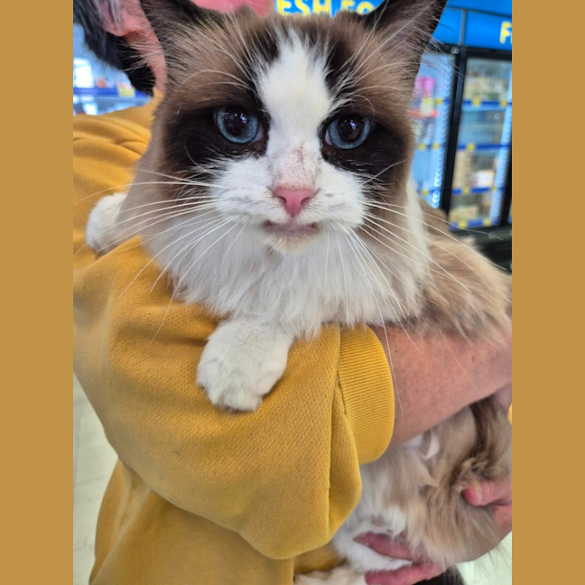 Photo of Bubbles And Lily 