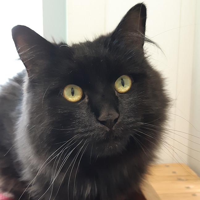 Photo of Flint
