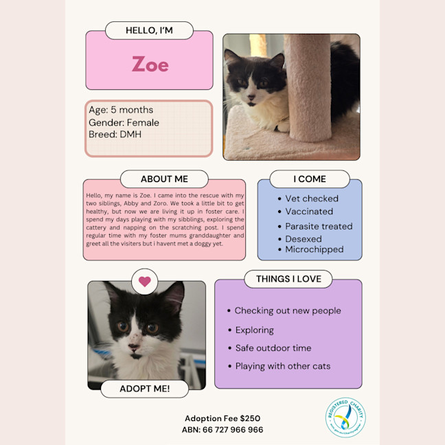 Photo of Zoe