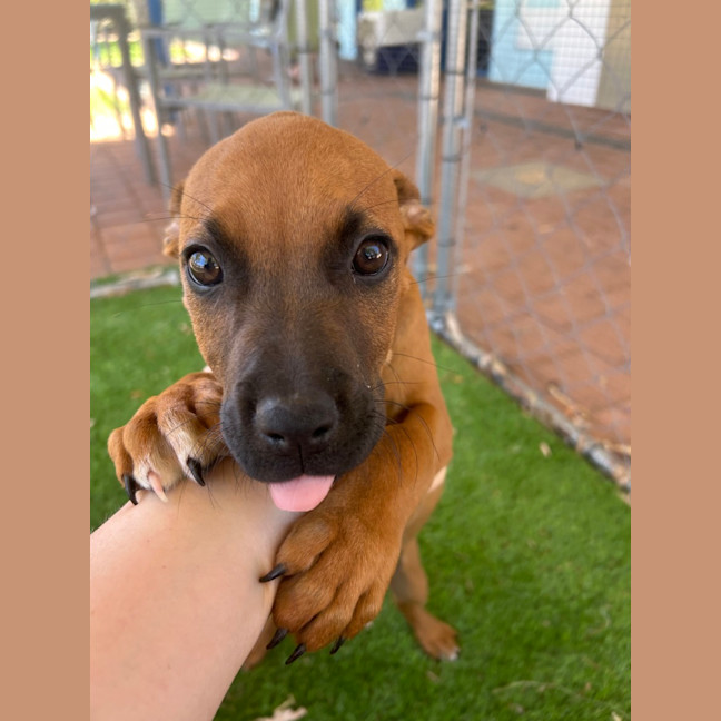Photo of Ruby
