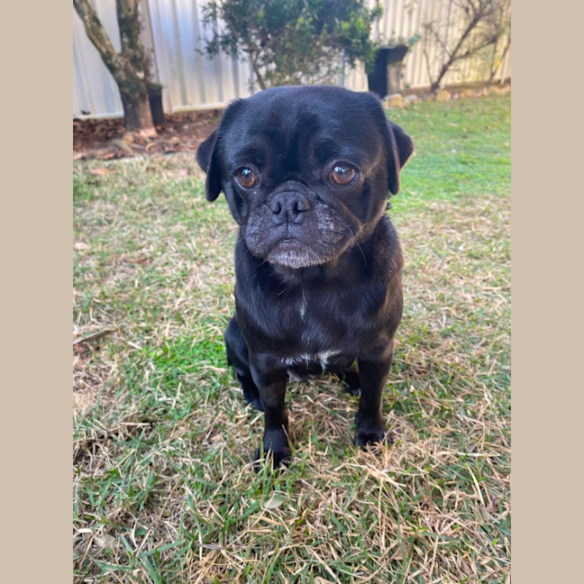 Photo of Dottie 🌸