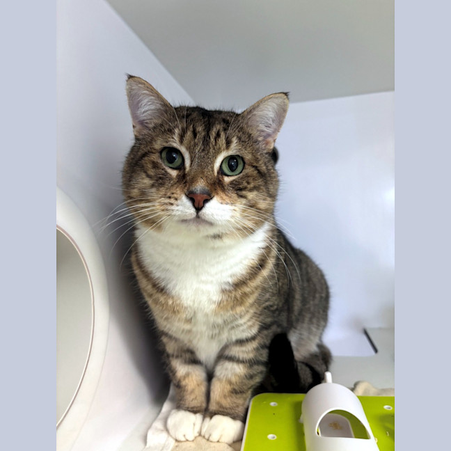 Photo of Sammy Sta013142