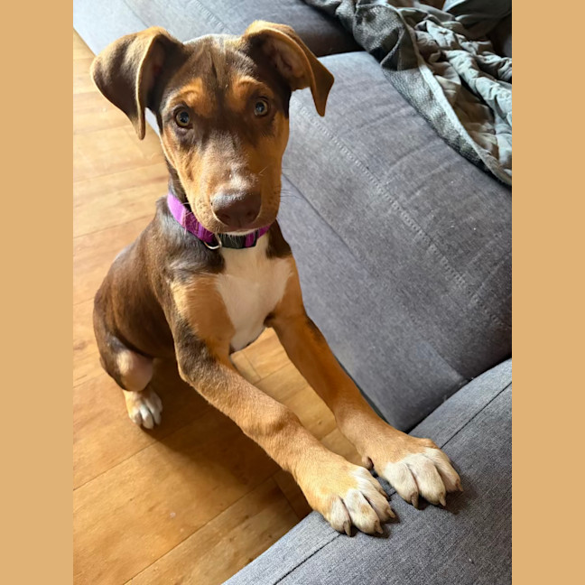 Photo of Winnie