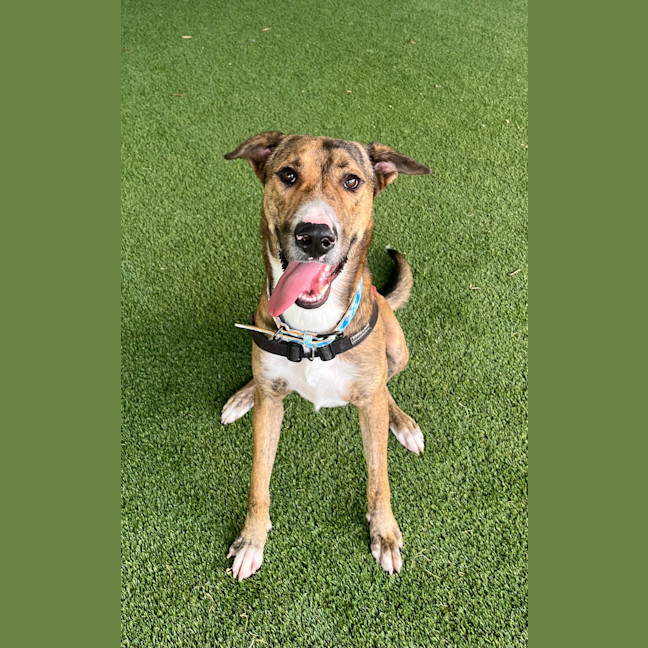Photo of Zeus