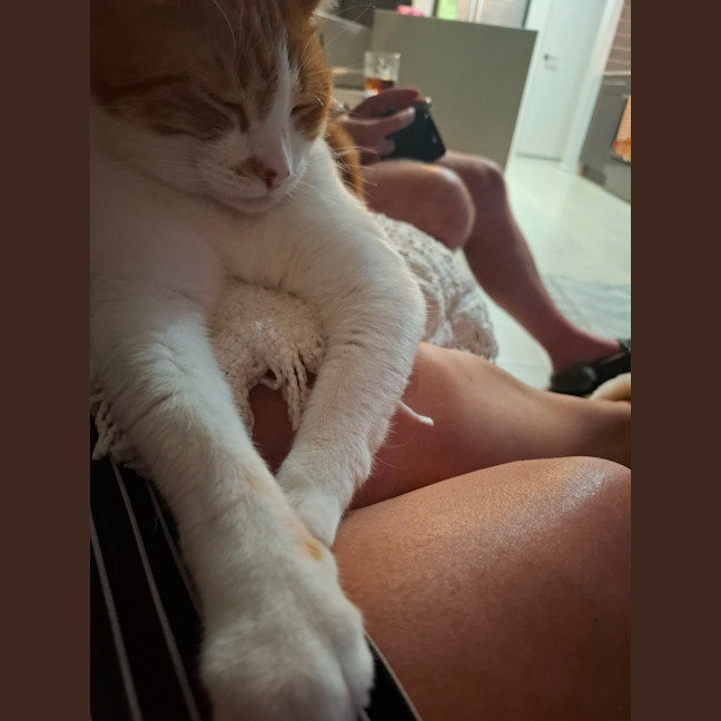 Photo of Hamish