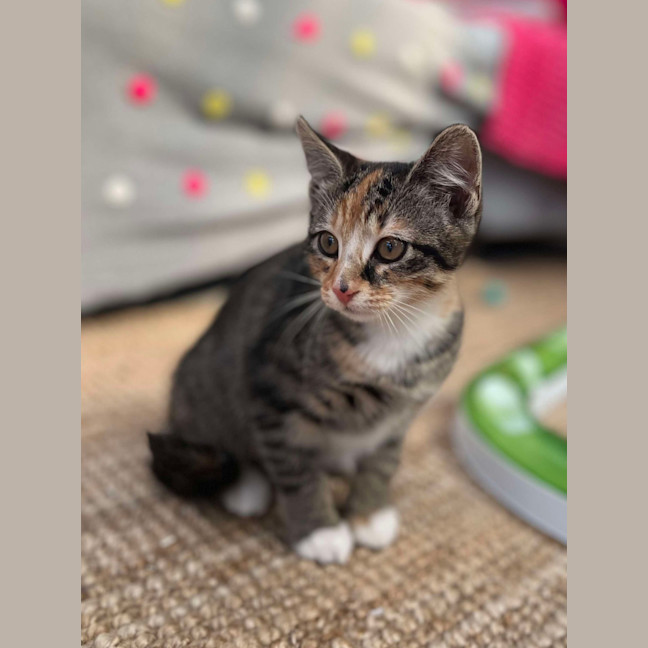 Photo of 💚 Charlee 💚