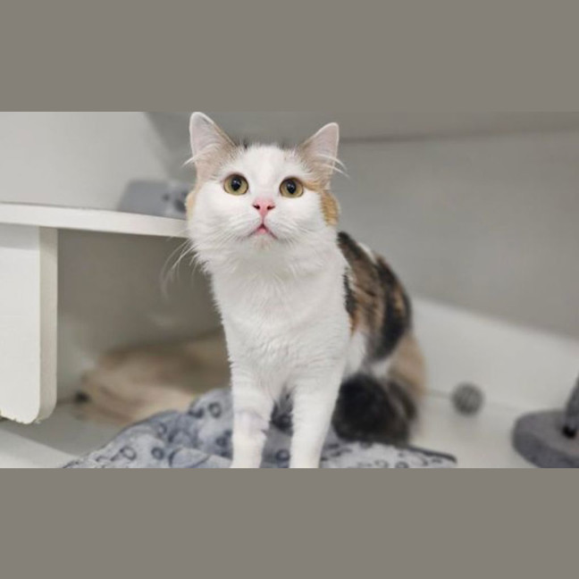 Photo of Mimi