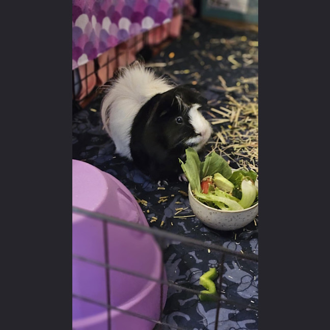 Photo of Huey