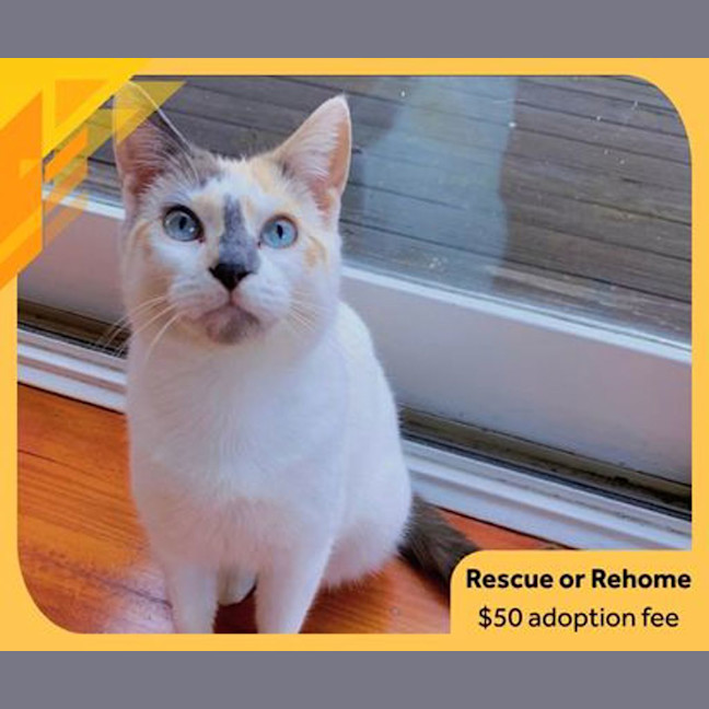Photo of Tabitha