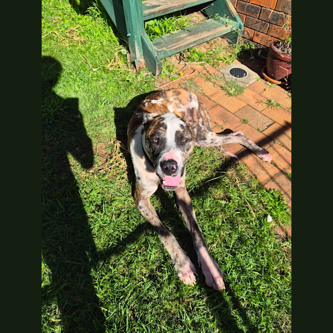 Photo of Hercules
