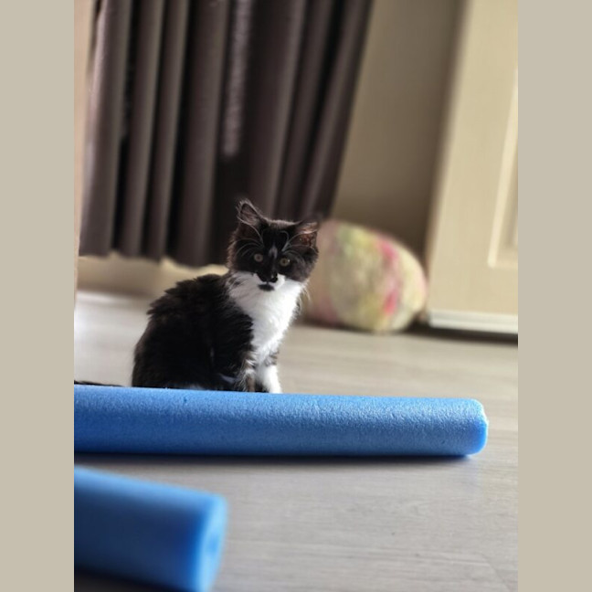 Photo of Arwen
