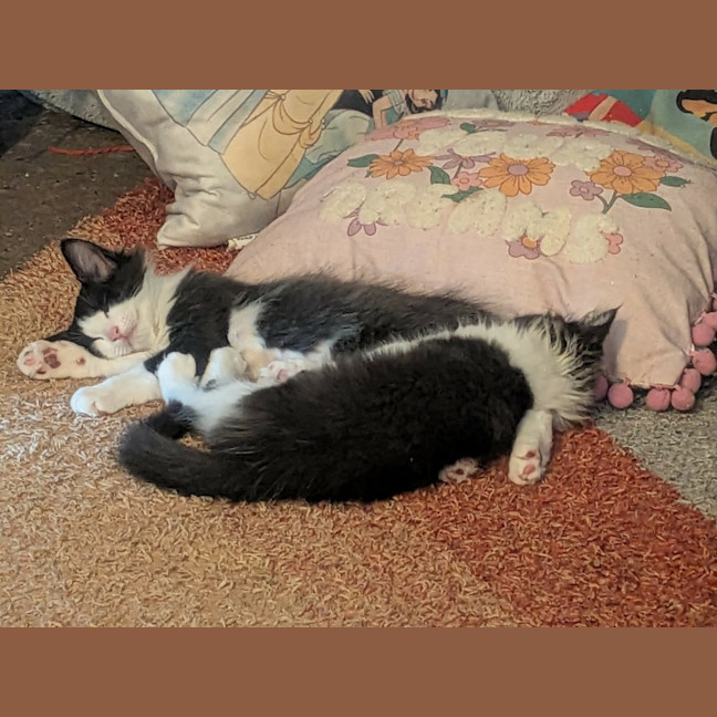 Photo of Minnie
