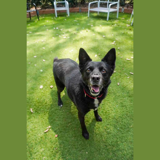 Photo of Roxy