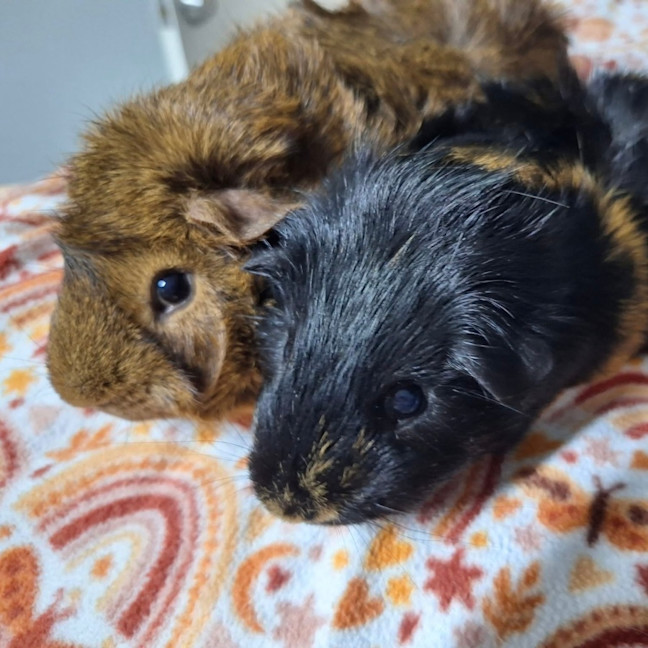 Photo of Caramel & Chocolate