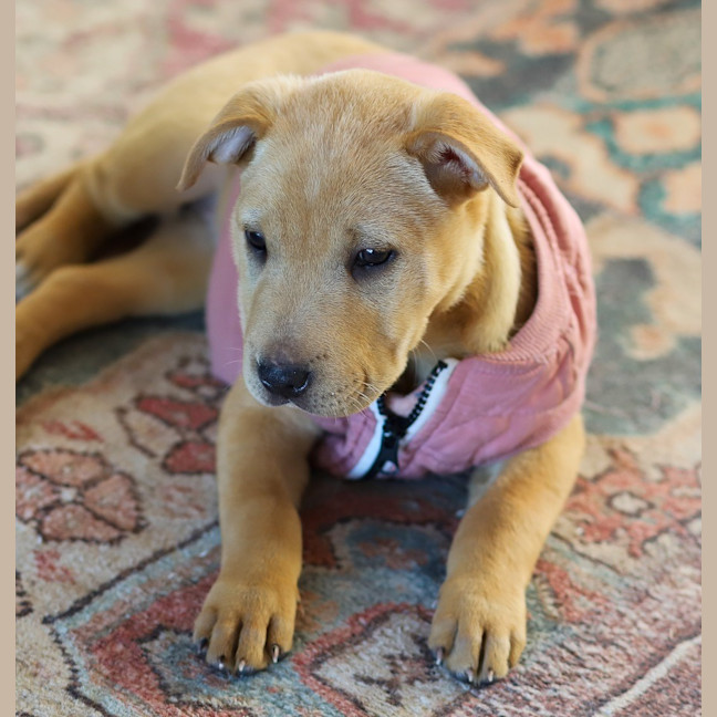 Photo of Winnie