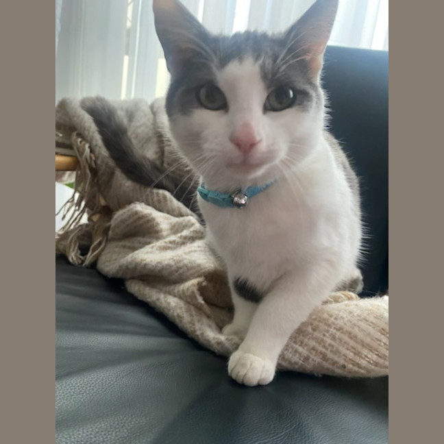 Photo of C1318 Micky