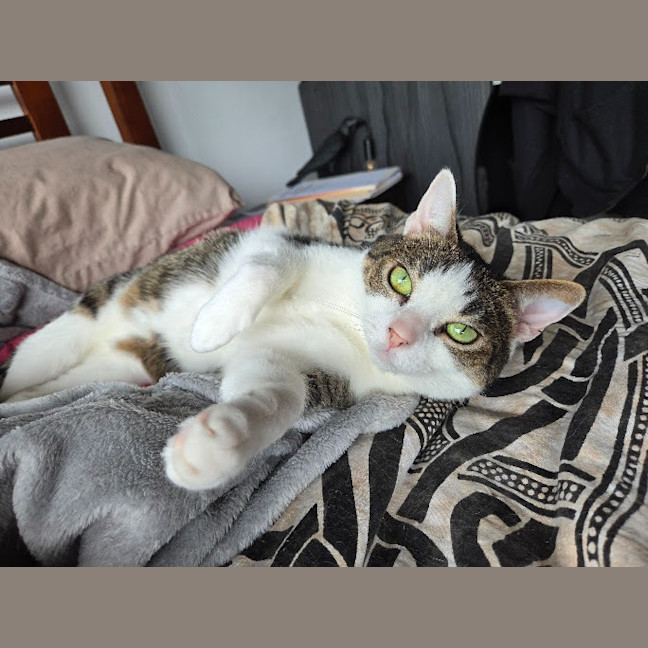 Photo of Molly / Milly