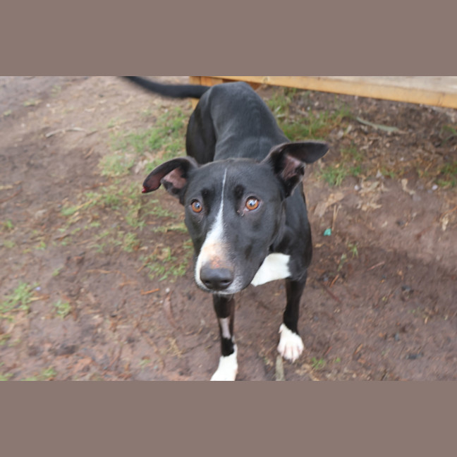 Photo of Tessie