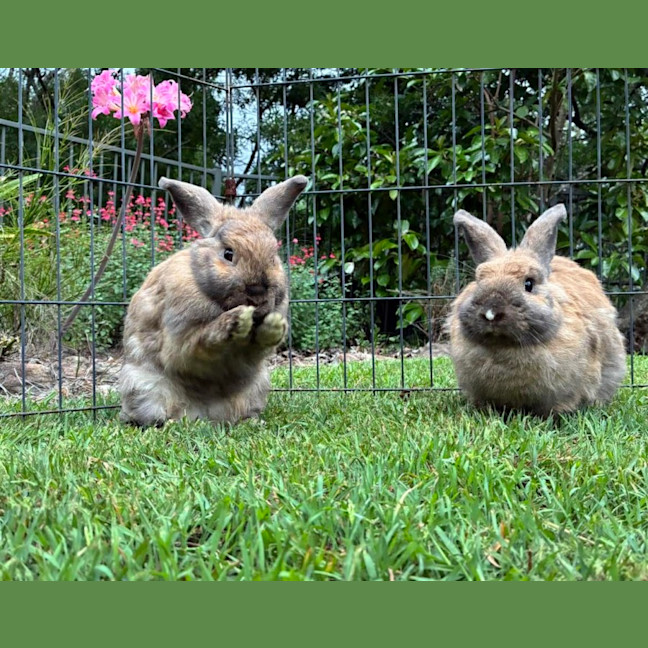 Photo of Belle And Jasmine