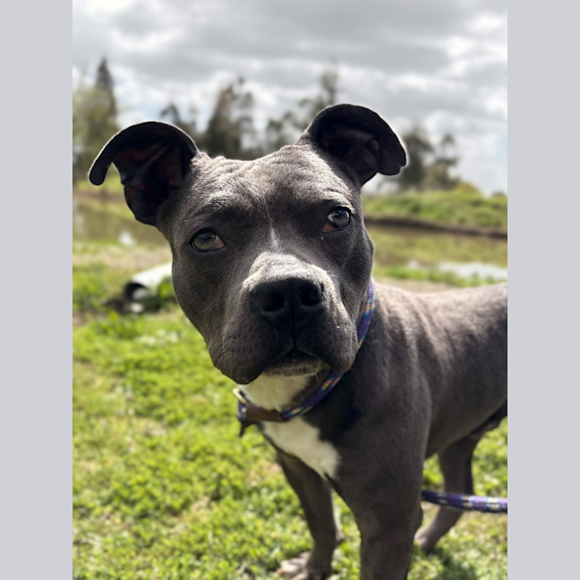 Photo of Percy