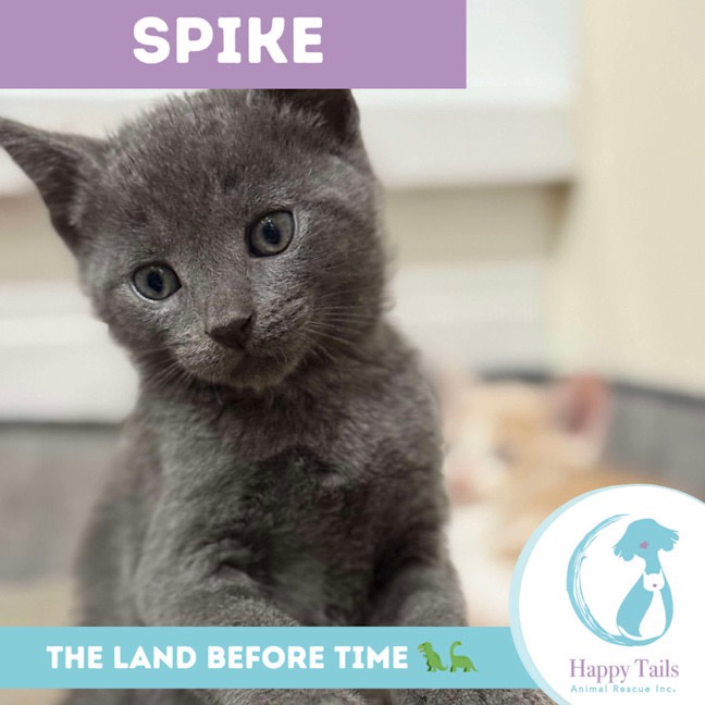 Photo of Spike