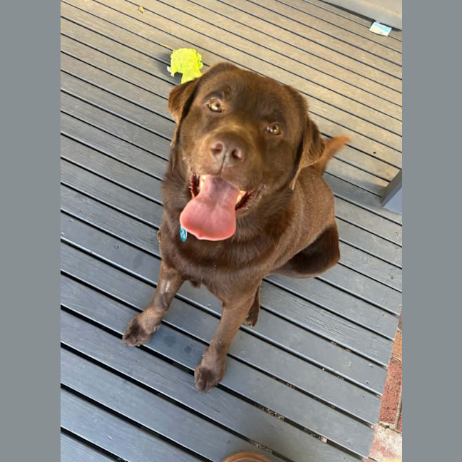 Photo of Duke
