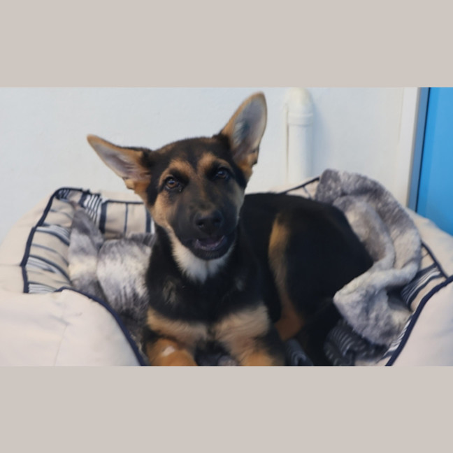 Photo of Lucy
