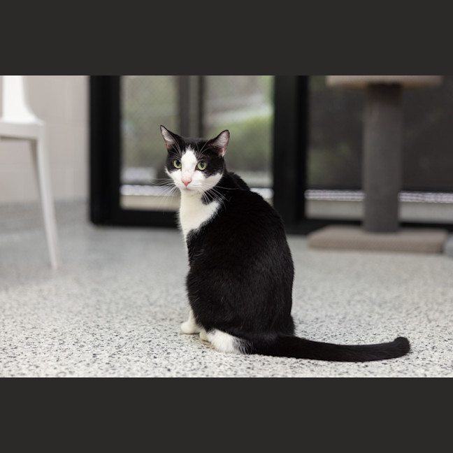 Photo of Party Pants